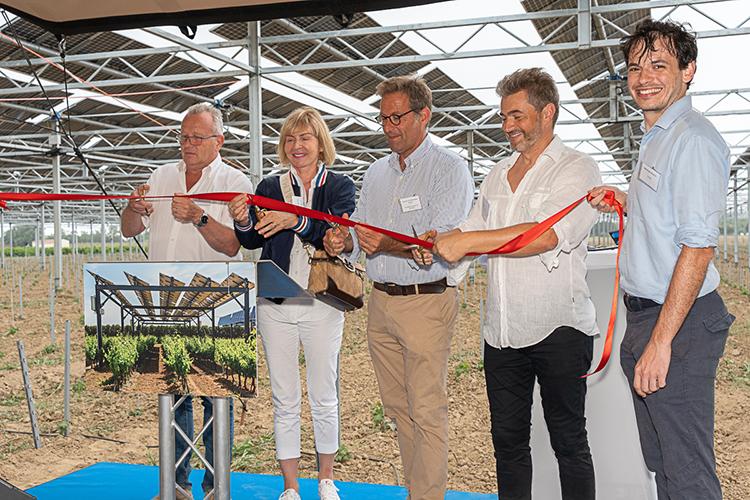 inauguration de l’installation agrivoltaïque dynamique sur vignes à Claira